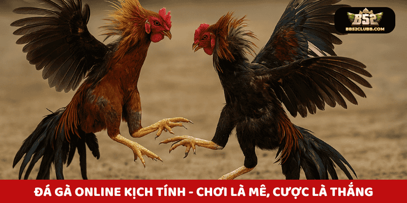 Đá gà online kịch tính - Chơi là mê, cược là thắng!