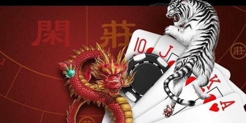 Mẹo chơi Rồng Hổ dễ thắng cho người mới